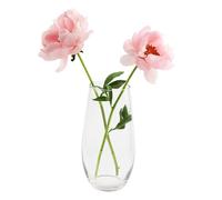 DARENYI Vaso per tulipani trasparente, in vetro trasparente, per decorazioni moderne, per orchidee, rose, tulipani, erba della pampa (27 x 10 cm)