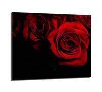 DarHaus Copri piano cottura induzione 60x52 cm copertura per piano cottura in vetroceramica 1 pezzi universale per piastre di cottura paraspruzzi tagliere in vetro temprato, Rosa rossa