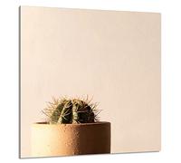 DarHaus Paraschizzi da cucina in vetro temperato 60 x 65 cm - Vetro decorativo con nastro adesivo - Pannello posteriore in vetro per cucina, Copri piano cottura induzione, Cactus beige