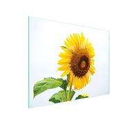 DarHaus Tagliere da cucina in vetro temperato, Copri-piano cottura a induzione, piano decorativo universale 52x40 cm, Giallo girasole
