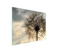 DarHaus Tagliere da cucina in vetro temperato, Copri-piano cottura a induzione, piano decorativo universale 52x40 cm, Tarassaco beige