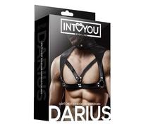 Darius BDSM line imbracatura per uomo petto fetish play, roleplay e look da club