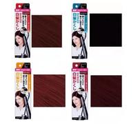 DARIYA - Salon De Pro Gray Hair Color Touch Natural Brown