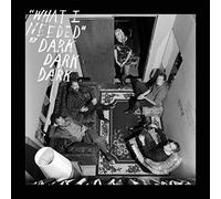 Dark Dark Dark - What I Needed