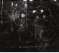 Dark Opus - Ignominious Fundamentals