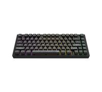 Dark Project ALU81A TERRA NOSTRA R2 (nero) - Tastiera meccanica da gioco cablata | ANSI ENG | Hotswap | Interruttori e stabilizzatori ingrassati G3MS Moonstone | Supporto con guarnizione flessibile |