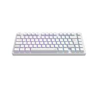 Dark Project ALU81A TERRA NOSTRA Tastiera meccanica da gioco | ISO Multi | Hot-Swap | Interruttori ingrassati G3MS Moonstone | Stabilizzatori ingrassati | Supporto con guarnizione flessibile |
