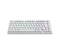 Dark Project ALU81A TERRA NOVA Tastiera da gioco meccanica wireless | ISO Multi | Hot-Swap | Interruttori ingrassati G3MS Moonstone | Stabilizzatori ingrassati | Supporto con guarnizione flessibile |