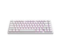 Dark Project Terra Nostra (ENG) - Tastiera meccanica da gioco in alluminio, con cavo USB, RGB, G3MS Moonstone, sostituibile a caldo, stabilizzatori ingrassati, alluminio 75%, colore: Bianco