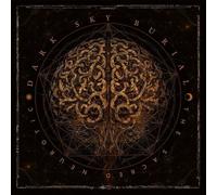 Dark Sky Burial - The Sacred Neurotic