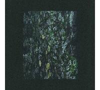 Dark Sky - The Walker/Kilter