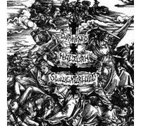 Darkened Nocturn Slaug - Follow the Calls for Batt