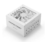 darkFlash PMT750 Alimentatore Completamente Modulare ATX 3.1 e PCIe 5.1, cavo 12VHPWR, 100% Giapponesi 105°C, Alimentatore da Gioco 80 Plus Gold, Dimensioni Compatte 150 mm, (Bianco, 750 watt)