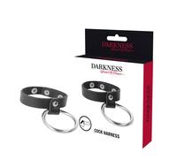 Darkness metal ring for the penis and testicles
