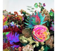 DARKSTAR - News From Nowhere [解説付・ボーナストラック1曲収録/通常国内盤] (BRC360)