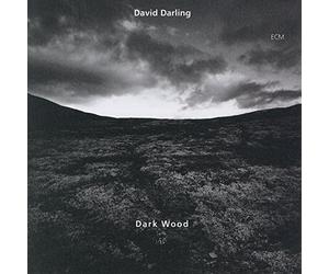 Darling David - Dark Wood