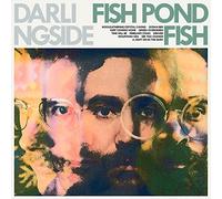 Darlingside - Fish Pond Fish