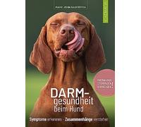 Darmgesundheit beim Hund: Symptome erkennen, Zusammenhänge verstehen