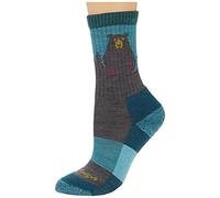 Calzini da donna Darn Tough Bear Town Micro Crew Lightweight With Cushion Dimensioni dei calzini: 41-42,5 / Colore: blu
