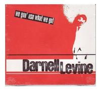 Darnell Levine - We Gon Use What We Got