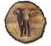 DARO Design - Quadro da parete con elefante, dimensioni 30 cm, stampa artistica pronta da appendere, decorazione da parete a tema caccia, natura, animali