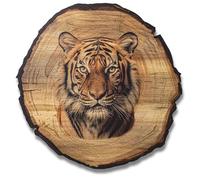 DARO Design - Quadro da parete con tigre, dimensioni 45 cm, stampa artistica pronta da appendere, decorazione da parete a tema caccia, natura, animali