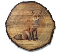 DARO Design - Quadro da parete volpe misura 20 cm - Stampa artistica pronta da appendere - Decorazione da parete a tema caccia, natura, animali