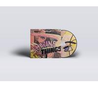 Darren Hayman and his Electric Guitars Amazing Things (Vinyl LP) 12" Album