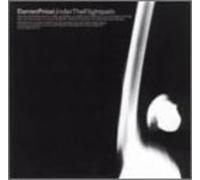 Darren Price Under the Flightpath (Vinyl LP)