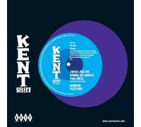 Darrow Fletcher - What Are We Gonna Do About This Mess - Vinyl Record - E72z