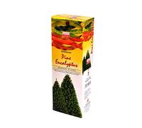 Darshan - Incenso al pino ed eucalipto, 120 bastoncini