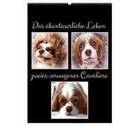 Das abenteuerliche Leben zweier verwegener Cavaliere (Wandkalender 2026 DIN A2 hoch), CALVENDO Monatskalender: Ein Cavalier King Charles Abenteuer Buch