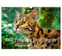 Das Erbe des Dschungels - Bengalkatzen im Porträt (Wandkalender 2027 DIN A3 quer