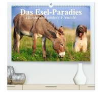 Das Esel-Paradies - Hunde und andere Feunde (hochwertiger Premium Wandkalender 2026 DIN A2 quer), Kunstdruck in Hochglanz: Die lustigen Abenteuer eines kleinen Esels mit seinen Freunden