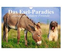 Das Esel-Paradies - Hunde und andere Feunde (Wandkalender 2026 DIN A4 quer), CALVENDO Monatskalender: Die lustigen Abenteuer eines kleinen Esels mit seinen Freunden