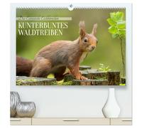 Das Eurasische Eichhörnchen - Kunterbuntes Waldtreiben (hochwertiger Premium Wandkalender 2026 DIN A2 quer), Kunstdruck in Hochglanz: Das bei uns ... Farbvariationen, von rot bis fast schwarz.