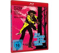 Das Grauen kam aus dem Nebel (Death Occurred Last Night / La Morte ris (Blu-ray)