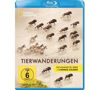 Das große Wunder der Tierwanderungen - National Geographic
