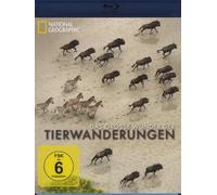 Das große Wunder der Tierwanderungen Teil 1 - National Geographic