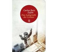 Das Labyrinth der Lichter: Roman