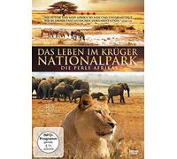 Das Leben im Krüger Nationalpark