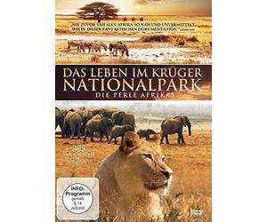 Das Leben im Krüger Nationalpark - Die Perle Afrikas