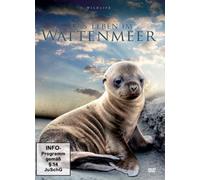 Das Leben im Wattenmeer