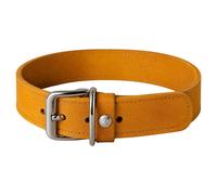 Das Lederband Collare per Cane Weinheim Giallo Vera Pelle Con Anti Tensione