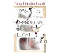 Das mangelnde Licht: Roman