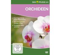 Das Pflege-1x1 Orchideen