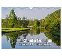 Das Steinfurter Bagno im Wandel der Jahreszeiten (Wandkalender 2026 DIN A4 quer), CALVENDO Monatskalender: Eine Auswahl von Bildern aus dem Steinfurter Bagno