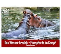 Das Wasser brodelt - Flusspferde im Kampf (Wandkalender 2026 DIN A2 quer), CALVENDO Monatskalender: Eines der gefährlichsten Tiere der Welt im Kampf