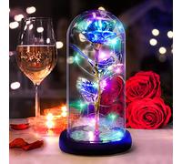 DASIAUTOEM - Rosa artificiale sotto campagna di vetro, di seta, con illuminazione LED, base in legno, modello “la bella e la bestia”, regalo romantico adatto per la festa della mamma, anniversario di