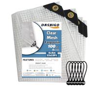 DASKIGO 4 x 4 m rete rinforzata resistente rete rinforzata trasparente impermeabile telone copertura mono foglio trasparente e 6 pezzi palle elastiche